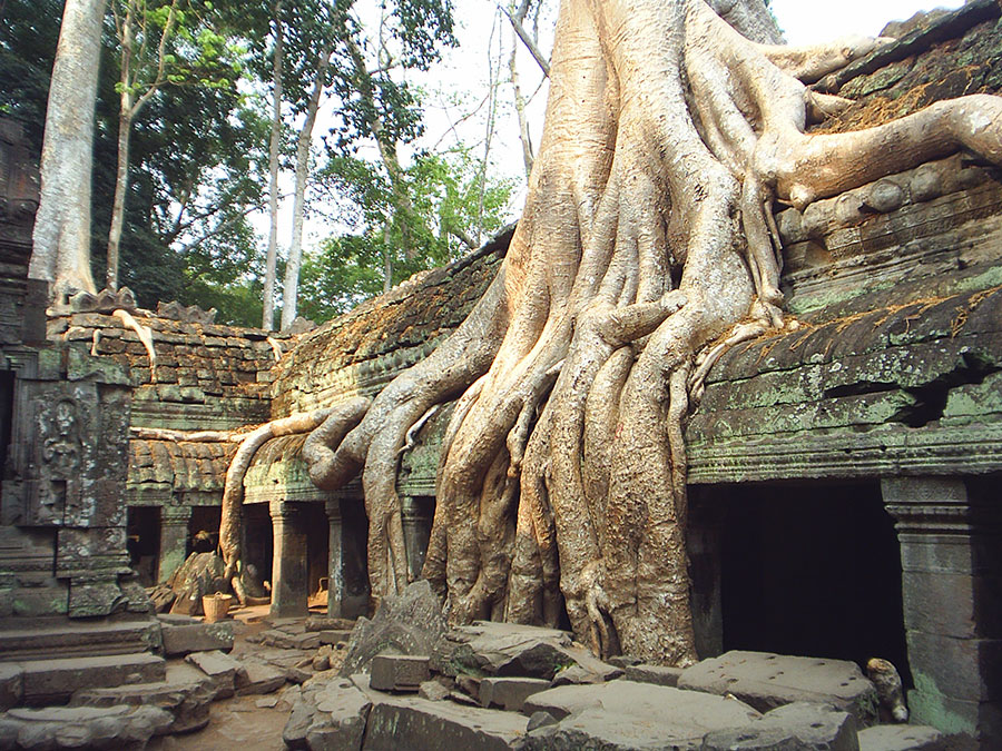 Ta Prohm